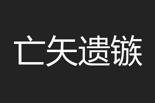 亡矢遗镞