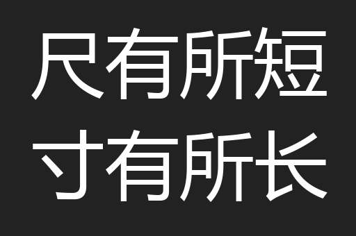 尺有所短寸有所长