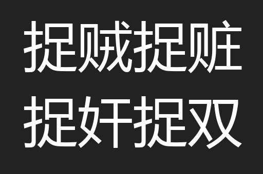 捉贼捉赃捉奸捉双