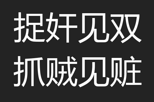 捉奸见双抓贼见赃